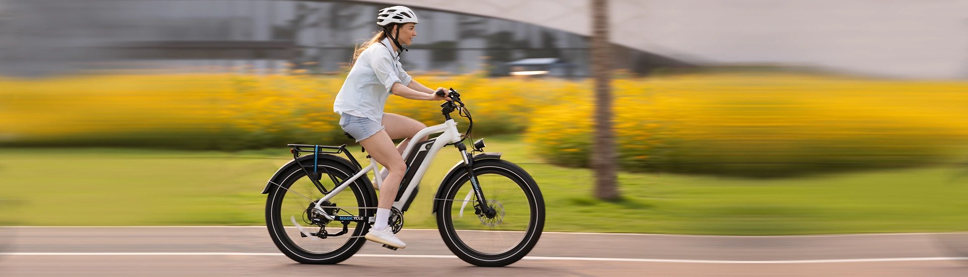 Other Ebike Upgrades