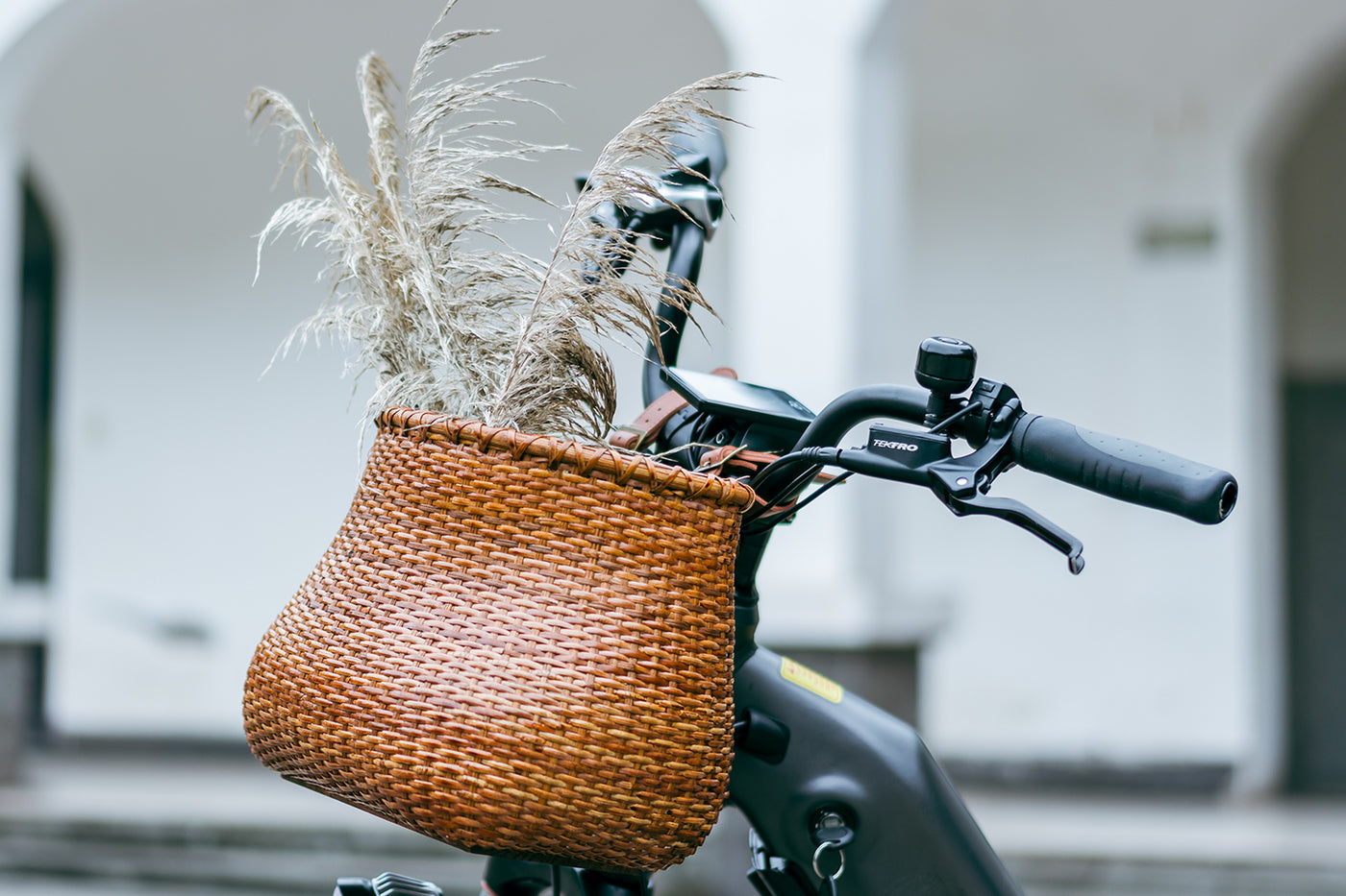 Stylish wicker bike basket filled with dried plants on ebike handlebars