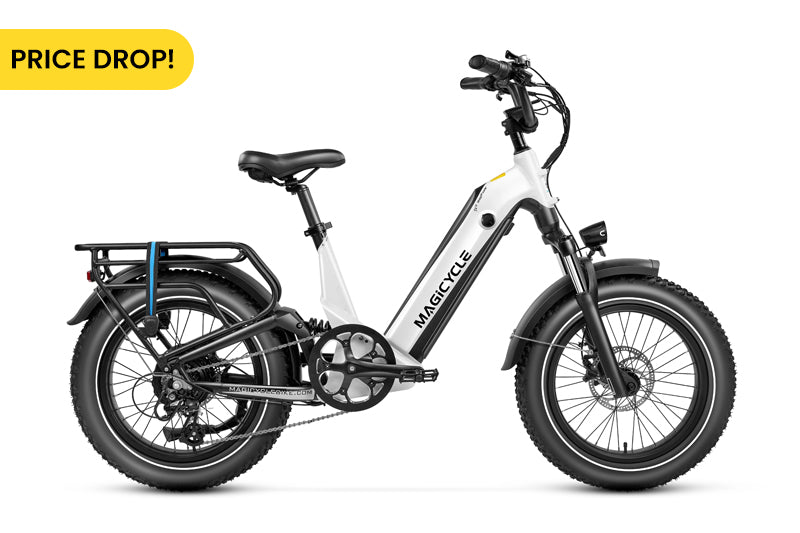 Magicycle 20