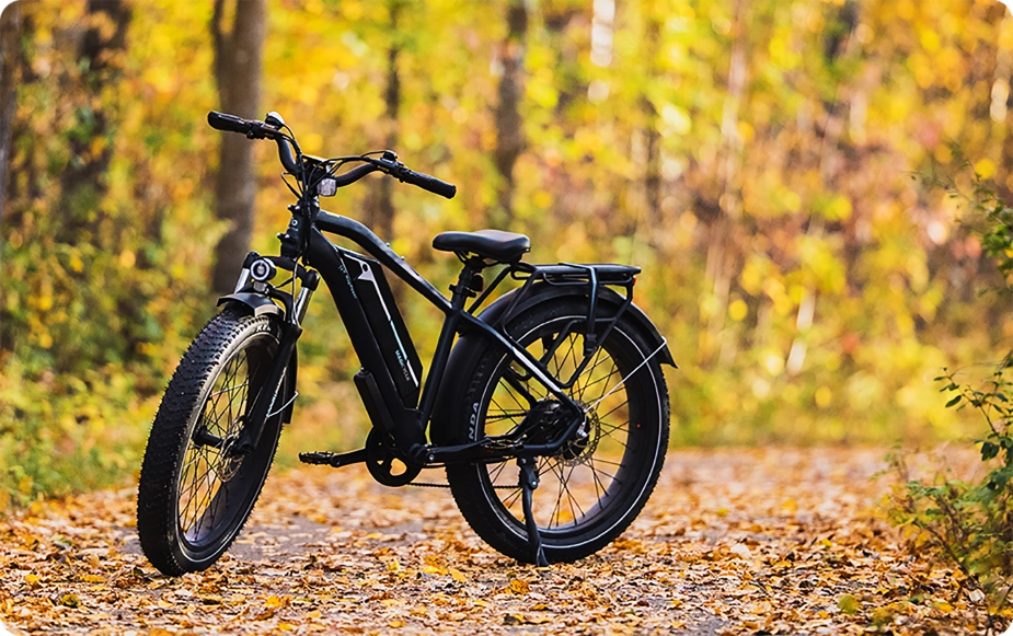 Magicycle Bikes: Best Electric Bike for Sale