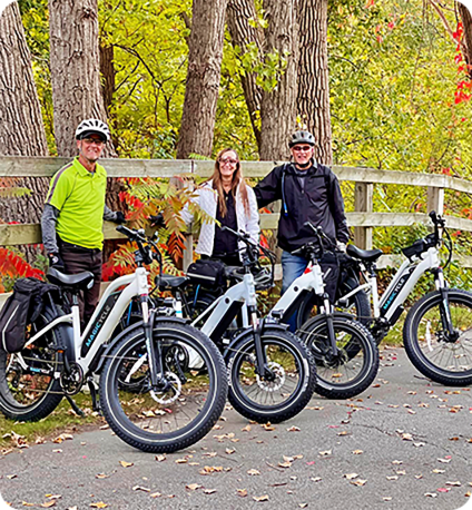 electric bikes cruiser for adults