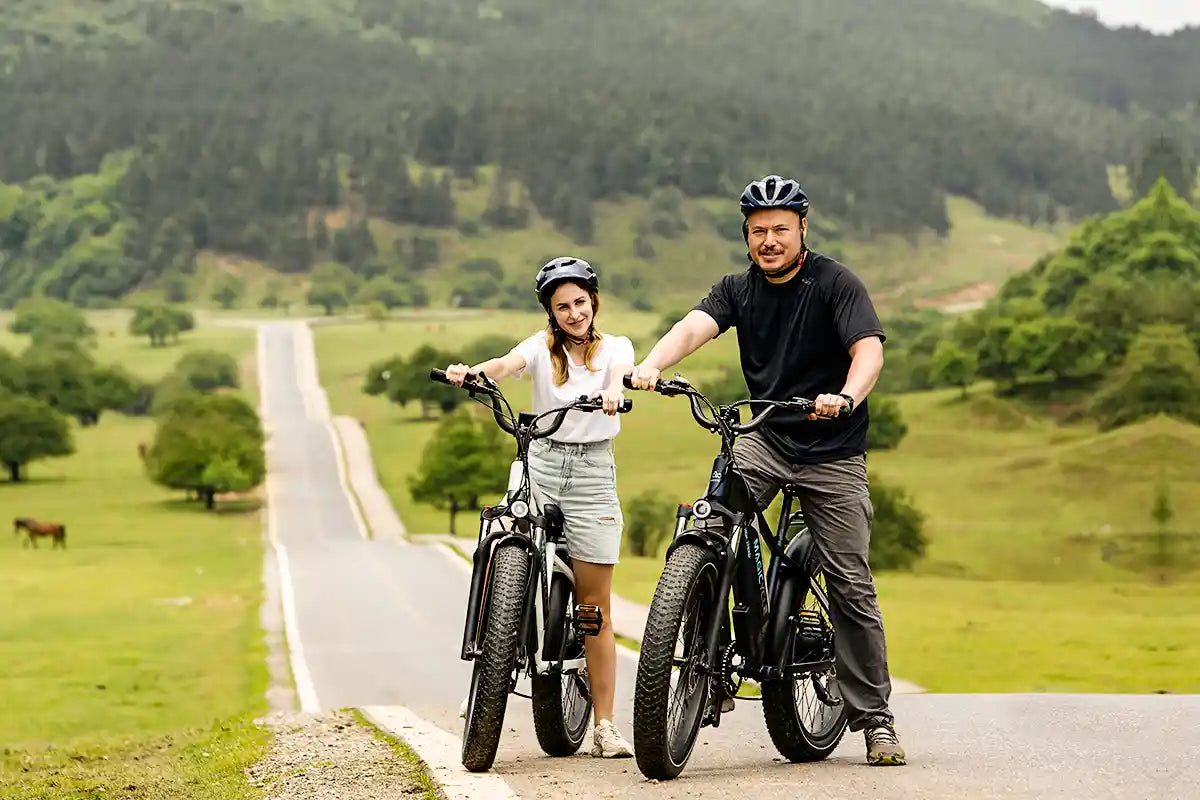 fat tire ebike