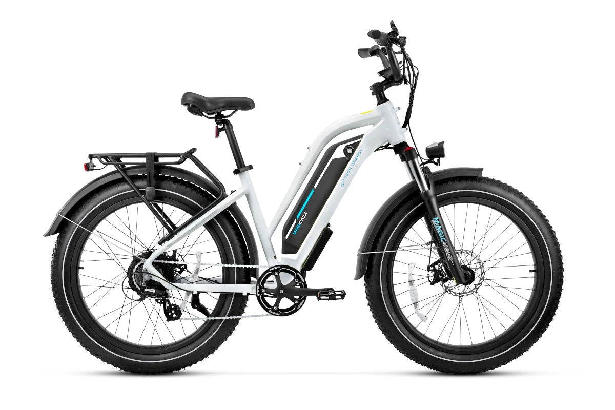 cruiser fat tire electric bike 1000w