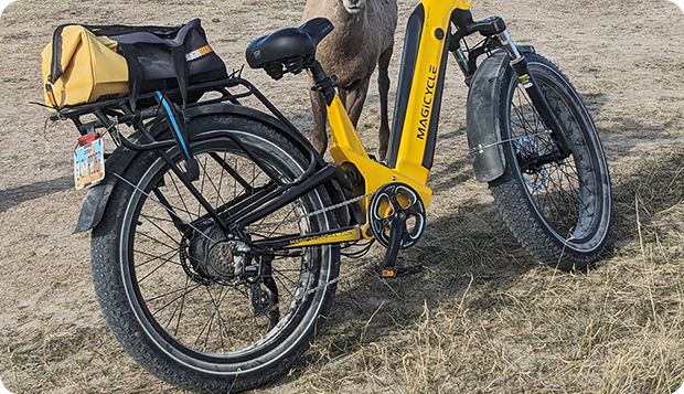 full suspension ebike