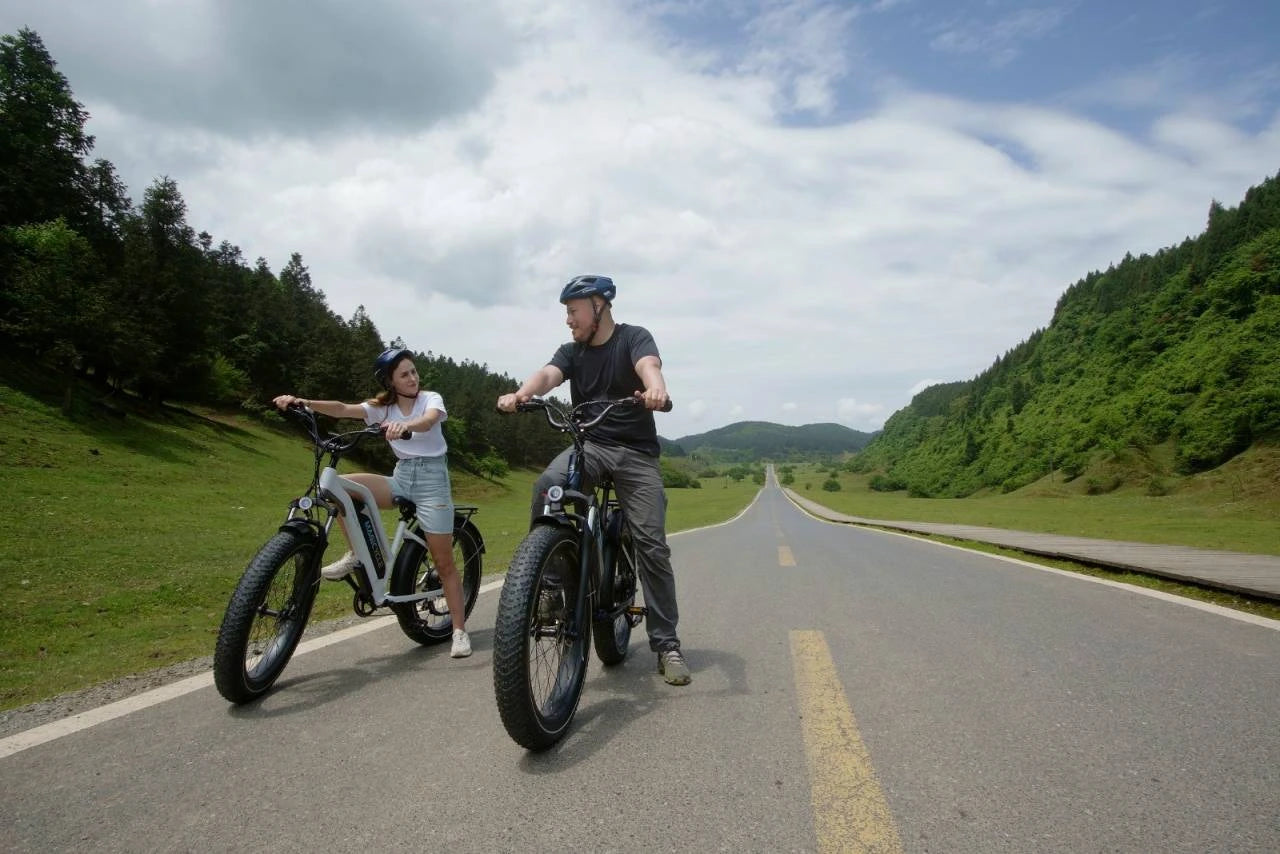 dost ebike