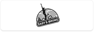 cheap electric bikes for adults