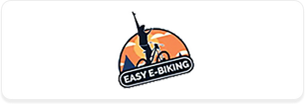 cheap electric bikes for adults