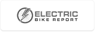cheap electric bikes for adults