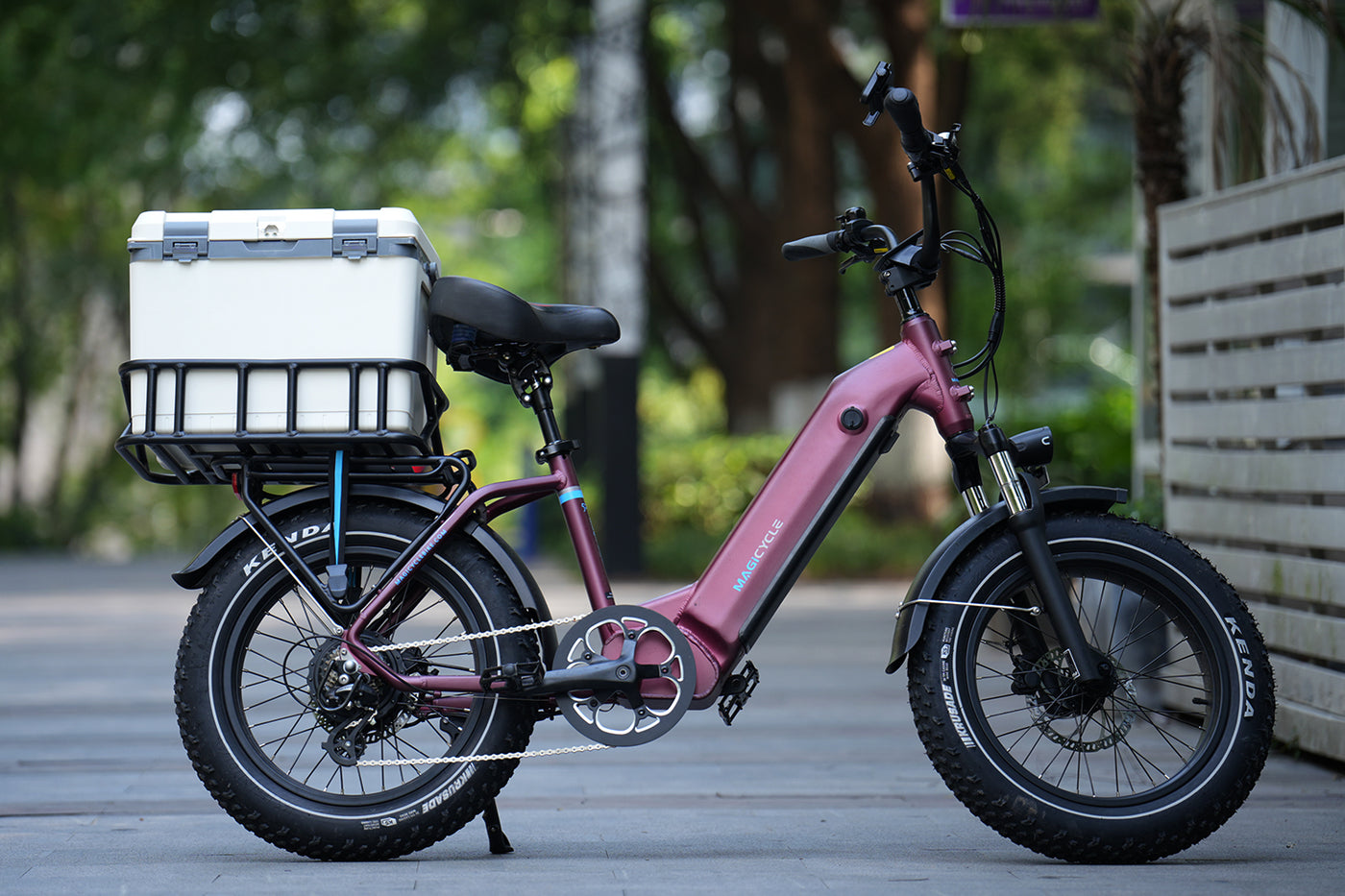 Pink e-bike with insulated cooler on rear rack for outdoor activities