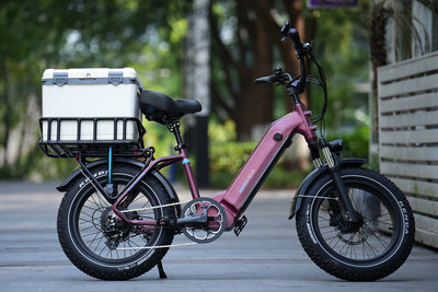 Pink e-bike with insulated cooler on rear rack for outdoor activities