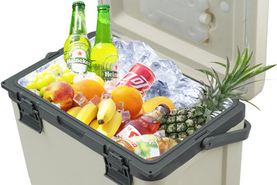 Hard cooler filled with ice, drinks, and fruits, perfect for outdoor activities.