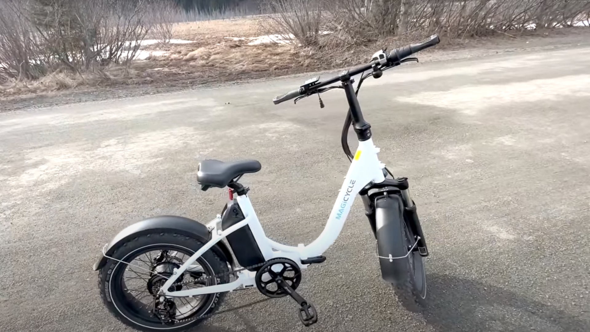 magicycle jaguarundi