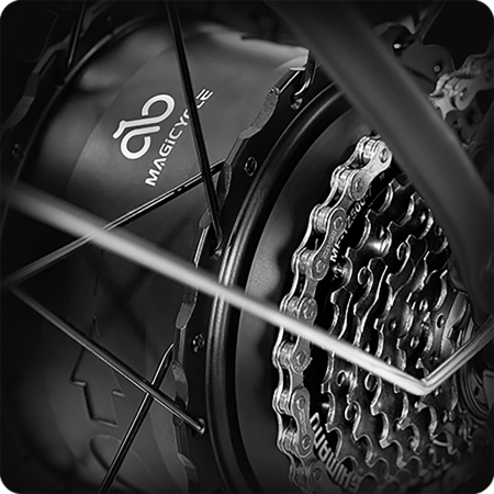1100W Motor