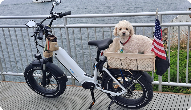 long range ebike