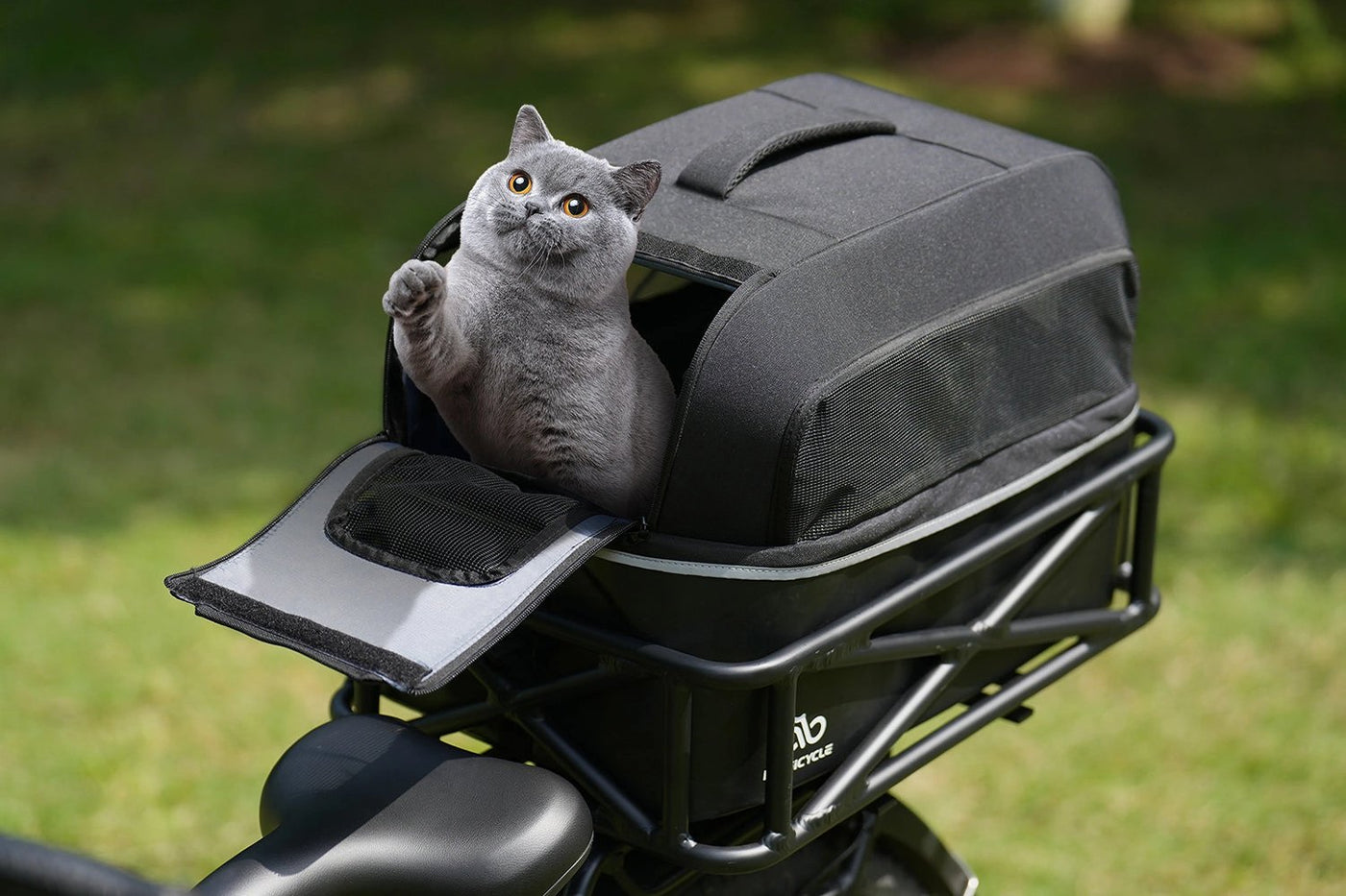 Large black ebike rear rack basket with gray cat peeking out, ideal for pet transport.