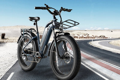Magicycle electric bike with front rack on scenic road, designed for rugged terrains.