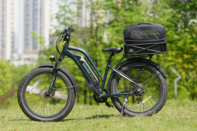 Magicycle electric bike with pet carrier for small animals on rear rack outdoors