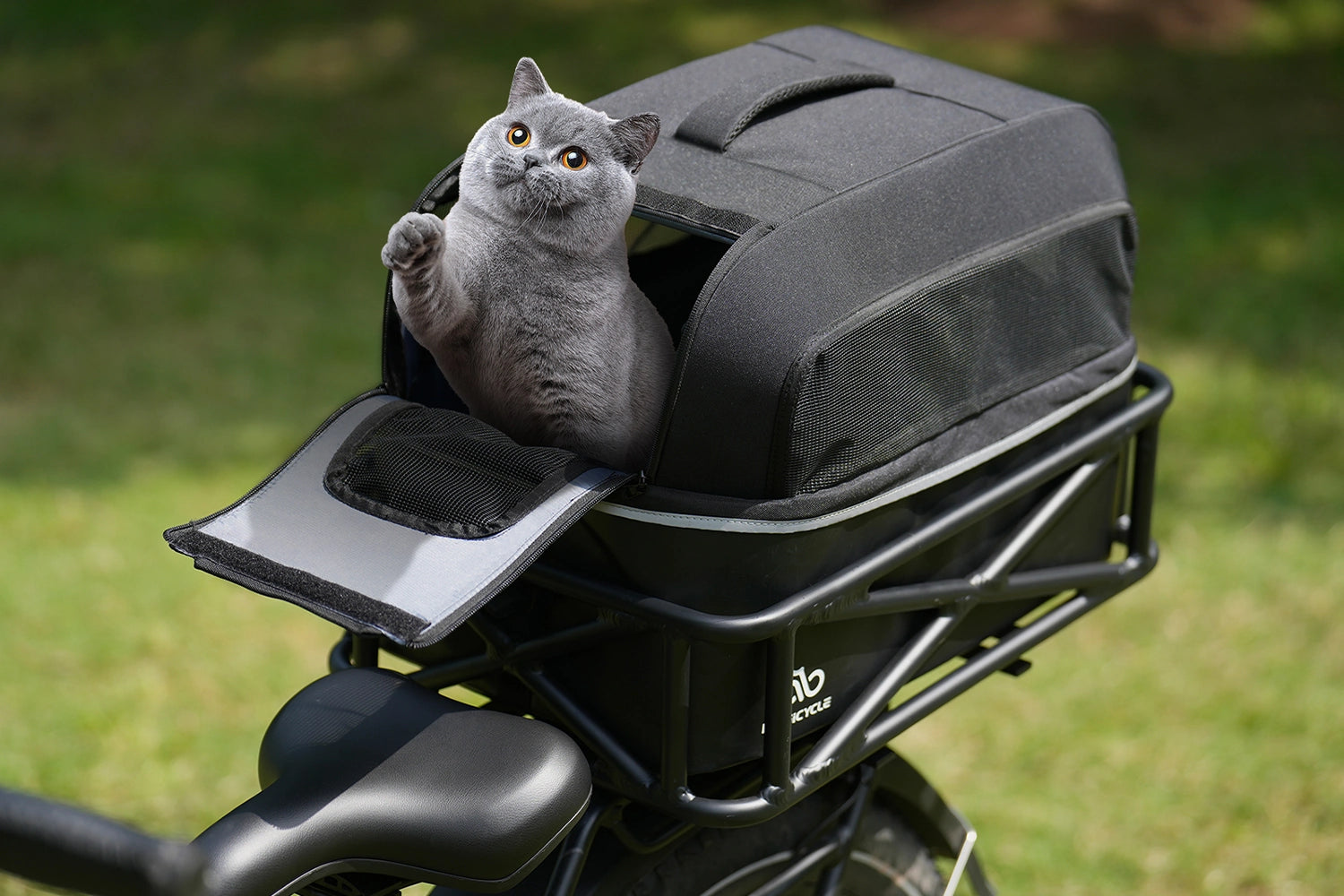 cat carrier for bicycle