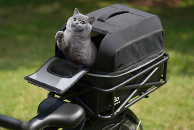Cat comfortably seated in black Magicycle pet carrier on bike rack with ventilation flaps